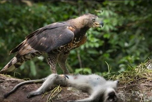 ����ʮ����Σ�յ��������� �Ϸ���������������