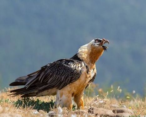 ����ʮ����Σ�յ��������� �Ϸ���������������