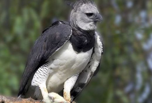 ����ʮ����Σ�յ��������� �Ϸ���������������