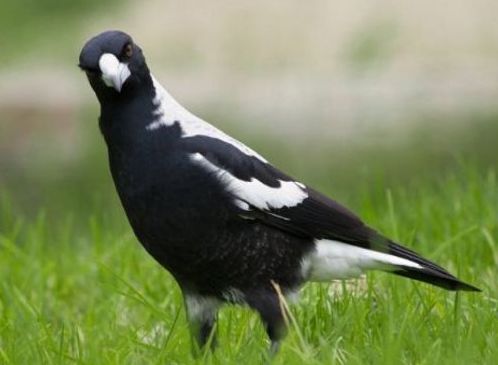 ����ʮ����Σ�յ��������� �Ϸ���������������