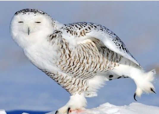 ����ʮ����Σ�յ��������� �Ϸ���������������