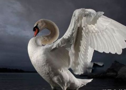 ����ʮ����Σ�յ��������� �Ϸ���������������