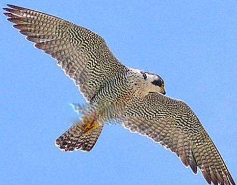 ����ʮ����Σ�յ��������� �Ϸ���������������