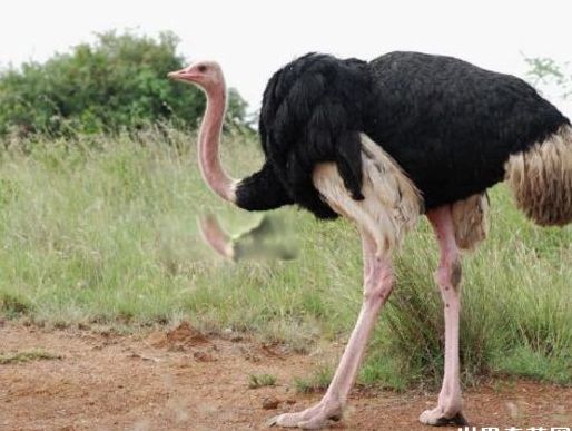 ����ʮ����Σ�յ��������� �Ϸ���������������