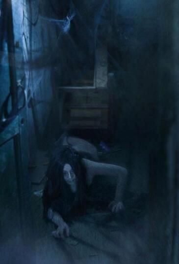 ���ŵ�����ʲô���� �ڵ�Ĺ�ʼ�����ʵ��ò������