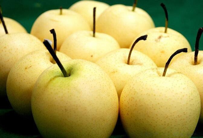 ��Ƶ���췽��15���Ӿ���Ч ��ʲô����������Ч�ķ���