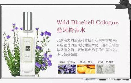 ȫ������ŵ�ʮ����ˮ ��������ŵ���������Щ