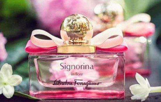 ȫ������ŵ�ʮ����ˮ ��������ŵ���������Щ