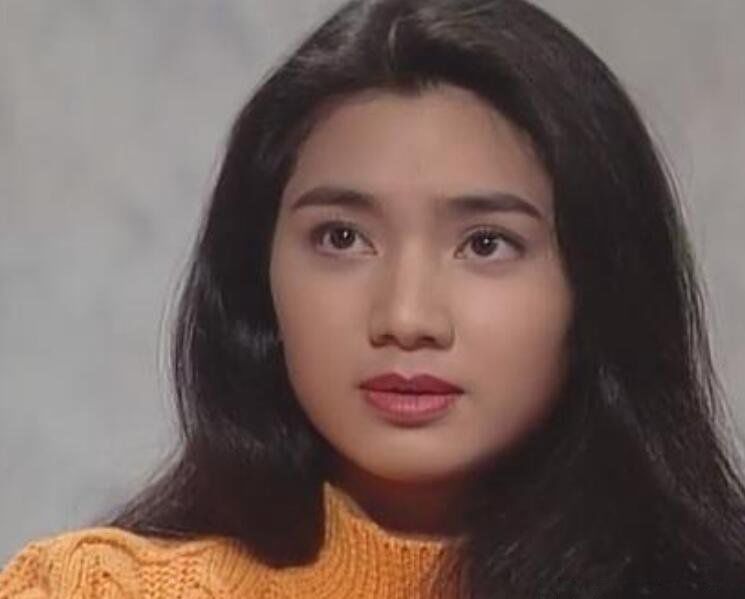 洪欣肉丸子事件怎么回事和现在一些女的比简单多了