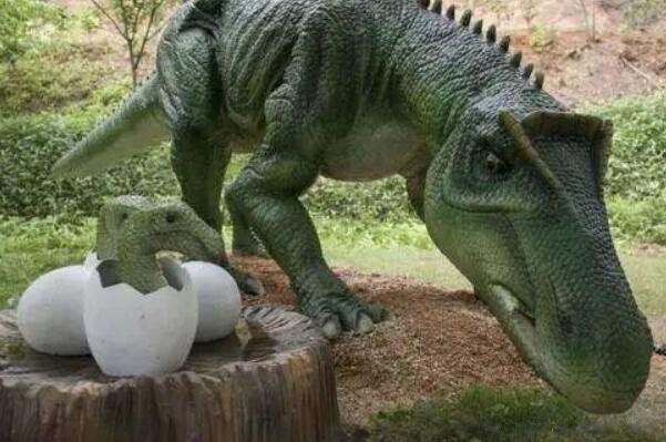 新西兰发现一只活恐龙图片