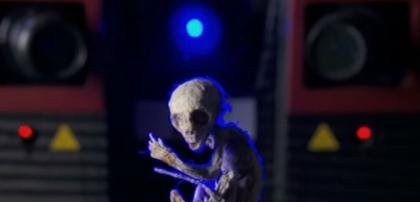 2007年墨西哥外星人宝宝事件 近距离接触只是一只猴子