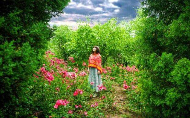 �μ���ȥ�������ֻ��˻����Լ�˵�� ��ʲô��˼������