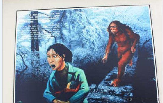 神农架深处有人去过吗 为什么神农架深处被列为禁区