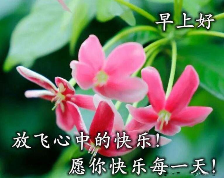 20个早安暖心话短句正能量 用干净最美一句话发朋友圈