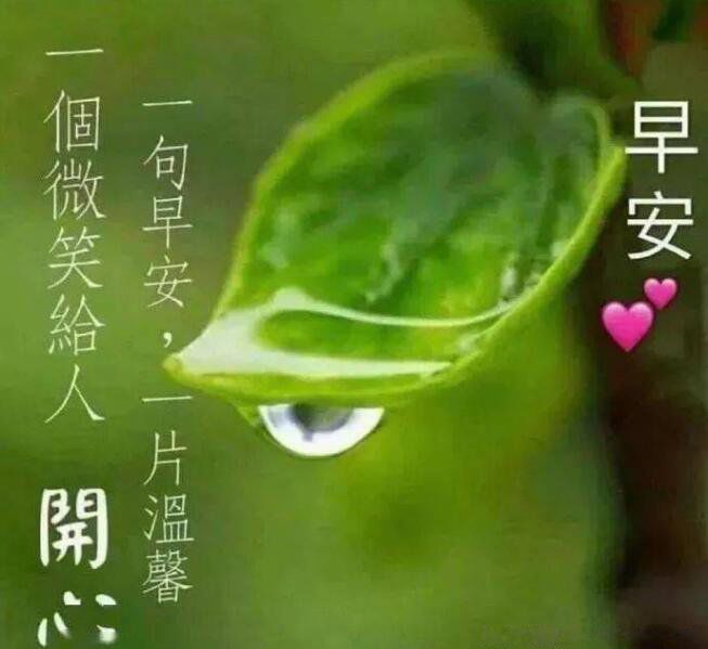 20个早安暖心话短句正能量 用干净最美一句话发朋友圈