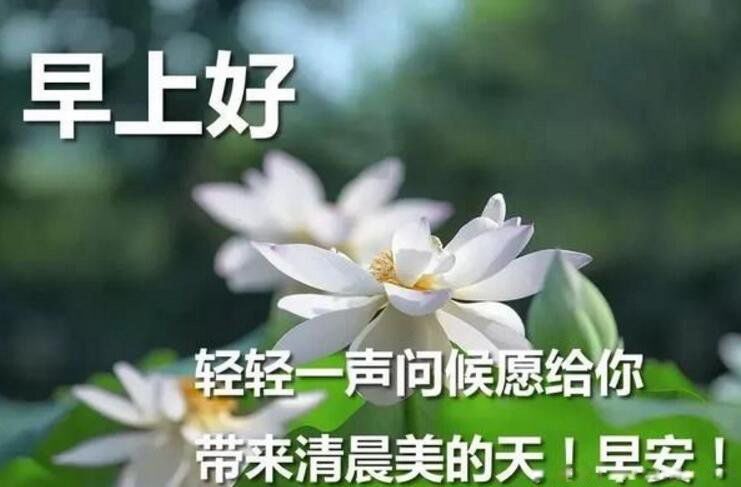 20个早安暖心话短句正能量 用干净最美一句话发朋友圈