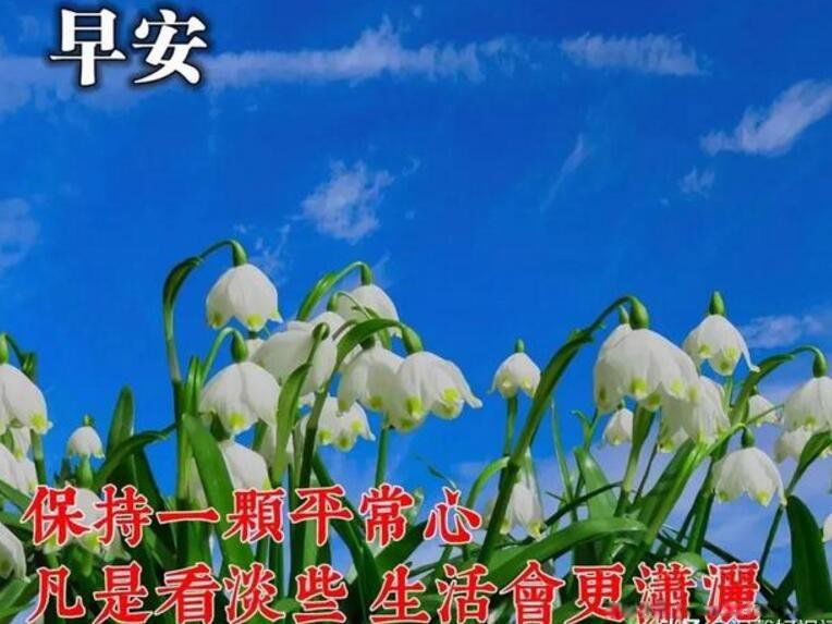 20个早安暖心话短句正能量 用干净最美一句话发朋友圈