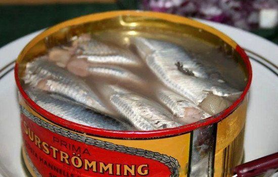 鲱鱼罐头到底有多臭 那么臭为什么还有人吃