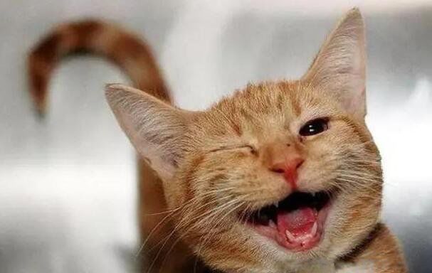 Ц����ȫ��Ů���ѿ��� 15�������ӿ��ĵ���Ĭ����