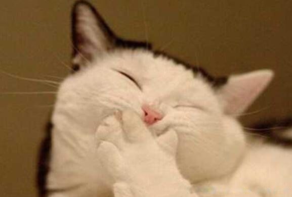 笑话大全哄女朋友开心15条逗妹子开心的幽默段子