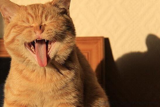 Ц����ȫ��Ů���ѿ��� 15�������ӿ��ĵ���Ĭ����