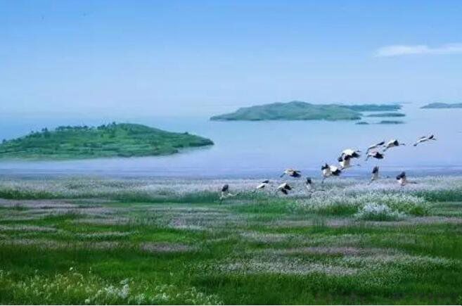 中国面积最大的湖是什么湖 是哪一个总面积有多大