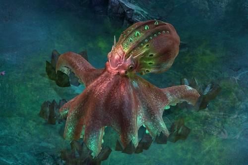 北太平洋巨型章鱼有多大 世界上最大章鱼的照片