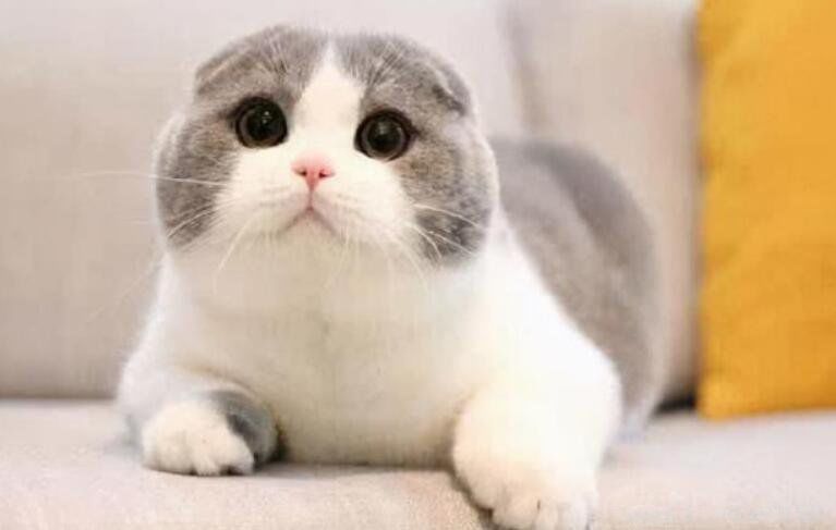 è��������ܻ������ һ���м����൱������ļ���