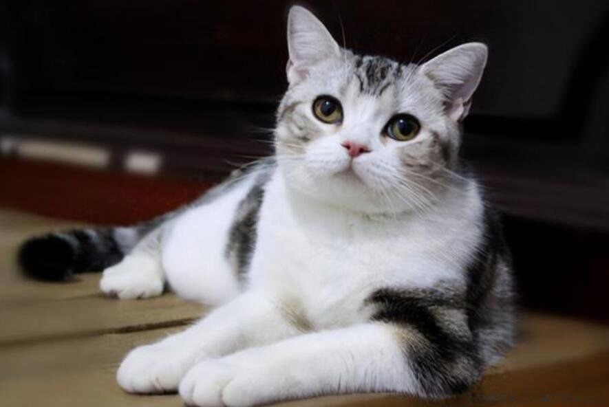 è��������ܻ������ һ���м����൱������ļ���