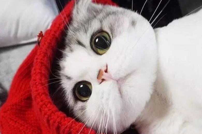 è��������ܻ������ һ���м����൱������ļ���