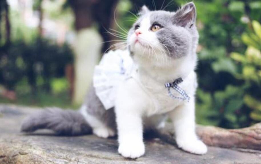 è��������ܻ������ һ���м����൱������ļ���