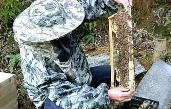 ��ֳҵʲô��׬Ǯũ�� ʮ����ֳҵ��Ŀ����