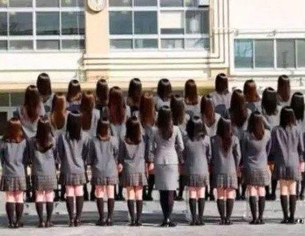 һ��ͼƬ����30���� ��������ͼʮ���ܿ���һֻ��