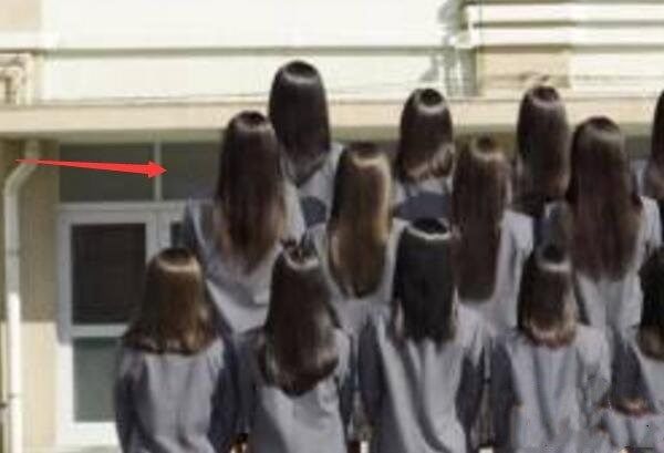 һ��ͼƬ����30���� ��������ͼʮ���ܿ���һֻ��