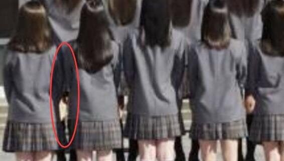 һ��ͼƬ����30���� ��������ͼʮ���ܿ���һֻ��