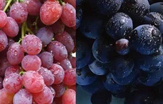���Ӻ����ѵ����� ���ο�ζ�۸��3������