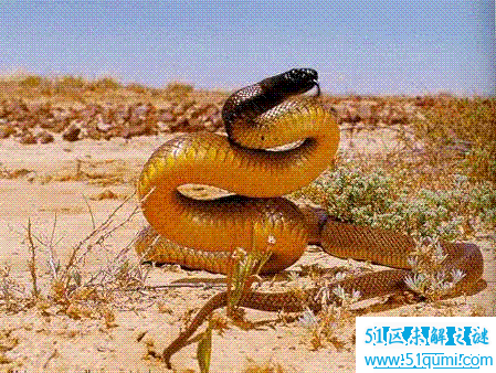 �����һ������ʲô�� ̫�����ǲ��������������