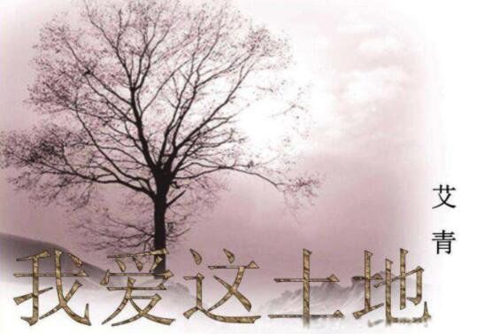 ����ʫѡ����ʼ�ժ�� ����10��ʫ����Щ