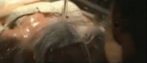 ˮ����ʲô �Ŵ���ˮ��ʹ��̶��ж����