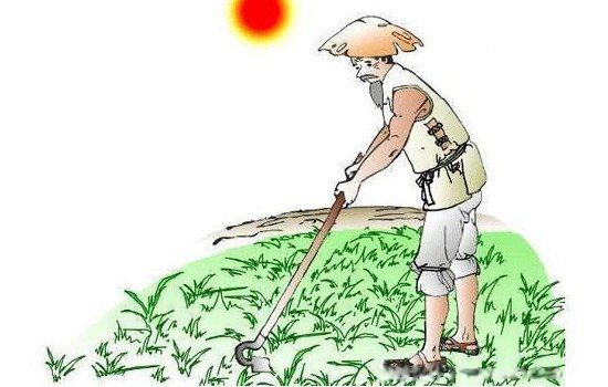 悯农的作者是谁 李绅当官后杀300只鸡是真的吗
