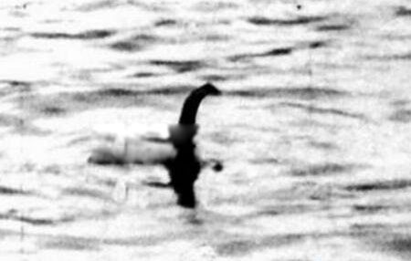 ����ʮ��ˮ������������Щ ����µ�ˮ����ʵͼƬ