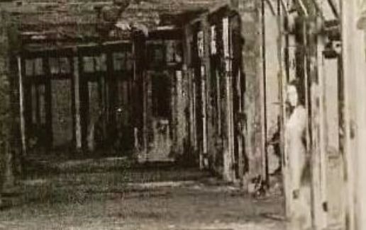 ������ʮ��ֲ�ҽԺ ���о���Ժ���������