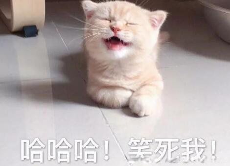 xswl�����ʲô��˼ ����Ӣ����д��ƴ��ǰ׺