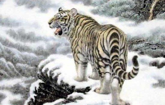 �����ĺ�ʲô�������䡢��� ��Щֻ�Ƿ�ˮ�ǵ�˵��