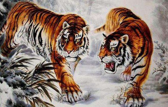 �����ĺ�ʲô�������䡢��� ��Щֻ�Ƿ�ˮ�ǵ�˵��