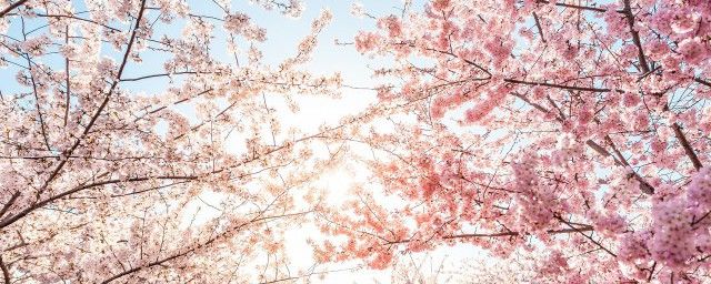 С������������ С������������