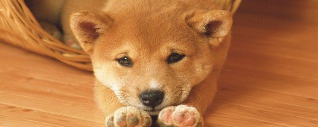 卡拉曼达为什么叫鬼区 看一下lol里面的四大鬼区