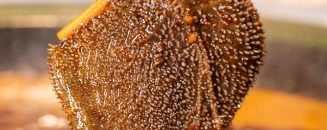 ��ë����Ҫ���� ë����ʲô�������ϵ�ʲô��λ