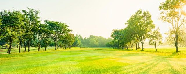 �̵�ƴ����ôд �̵����ִ����ʫ������Щ