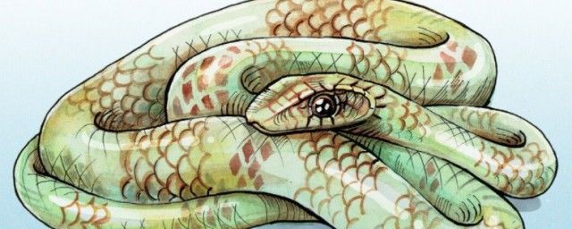 Ů���ε�����ʲô���� �ѻ�Ů���μ�����ҧ���ǻ�����